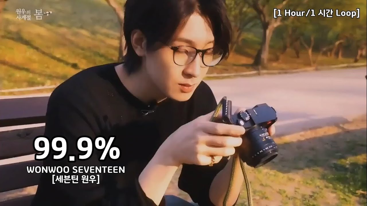 SEVENTEEN – 99.9% (WONWOO Solo) Lyrics | Romanization & Meaning