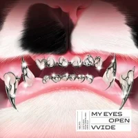 MEOVV MY EYES OPEN VVIDE album cover