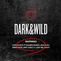BTS Dark & Wild album cover